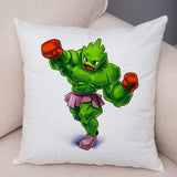 Cute Cartoon Pokemon Cosplay Pillow Cases